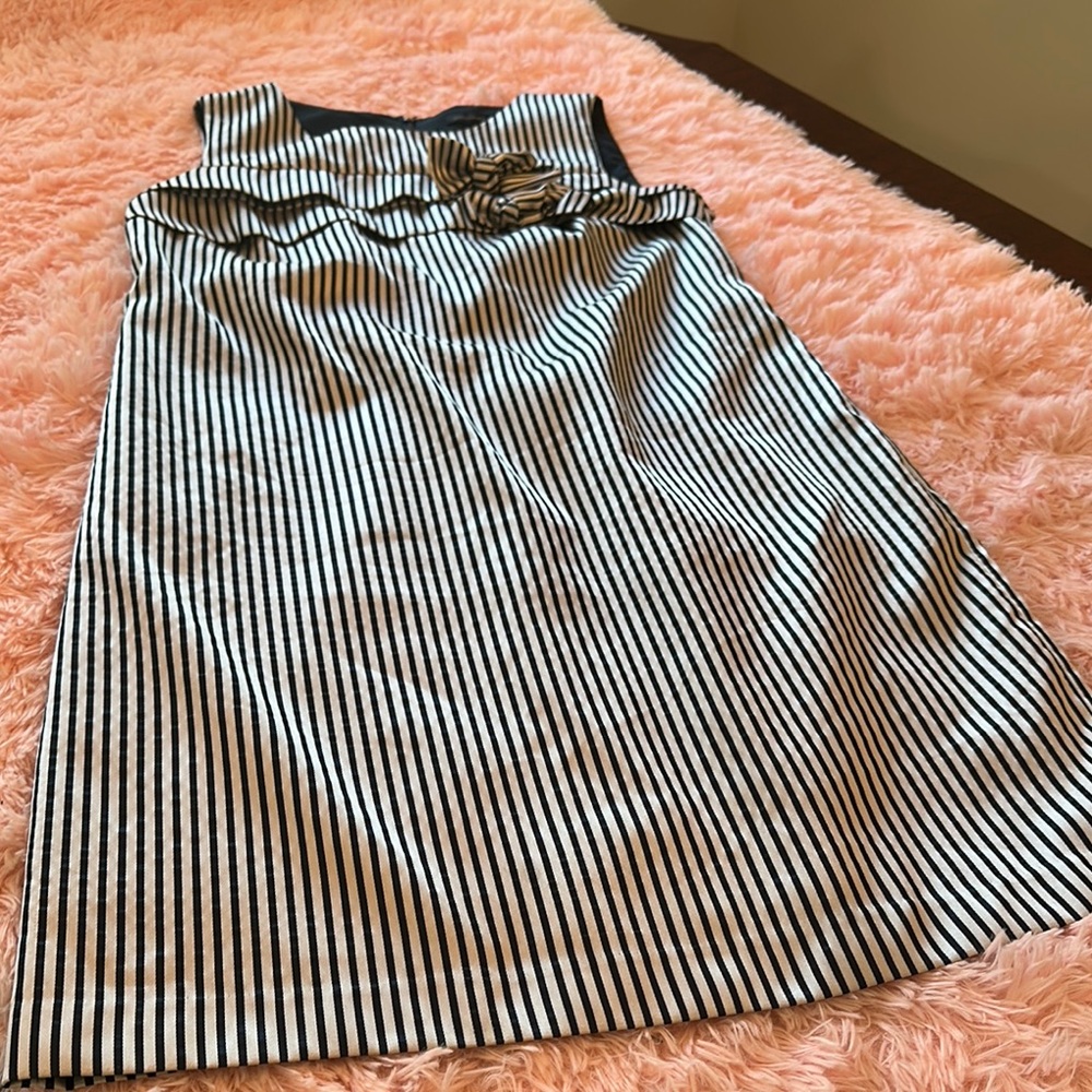 Banana Republic Monochrome Striped Dress